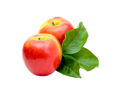 尚泽生物水果系列烟油苹果口味